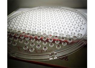 �҃�(n��i)���͸�R